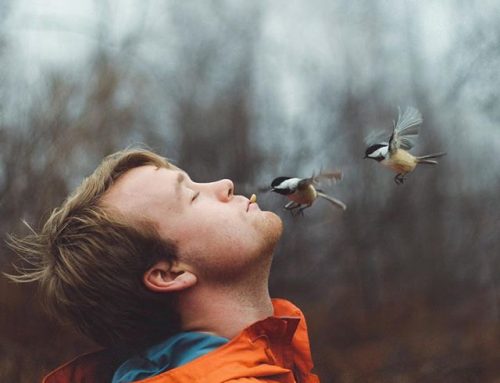 Connecting People to Nature