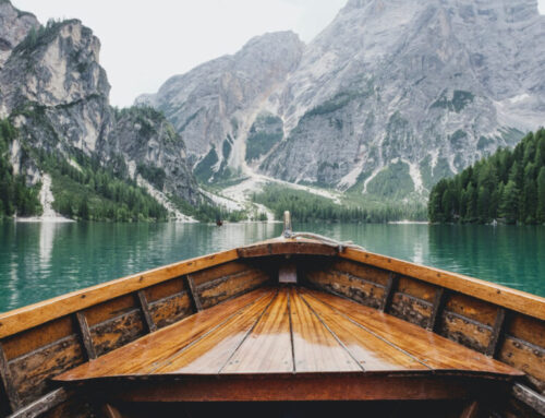 5 Things Nature Taught Us During Shut Down