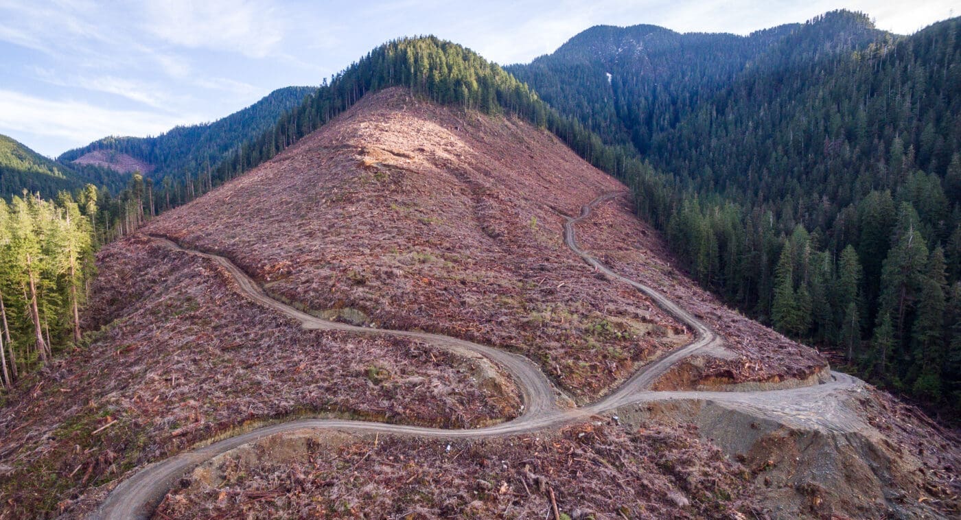 Caycuse Valley, British Columbia after being logged