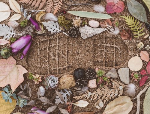 What is a Carbon Footprint?