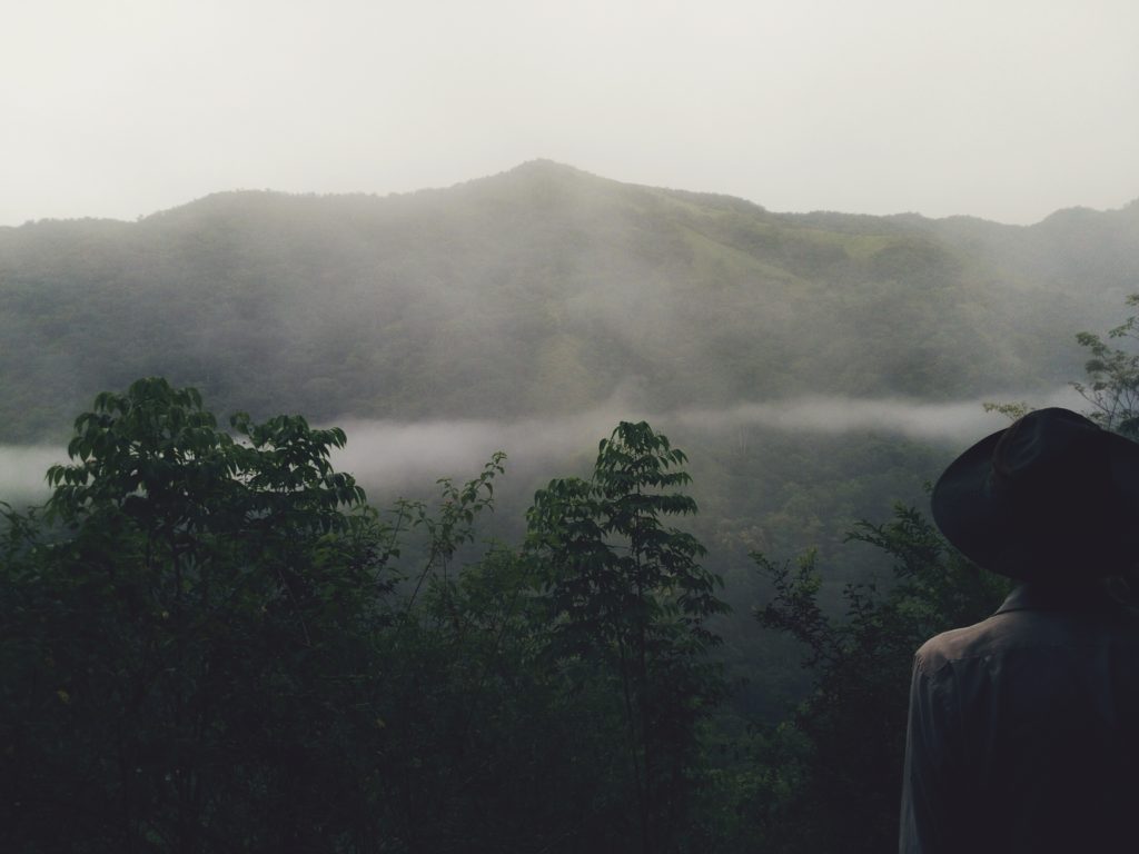 We are black sheep 2