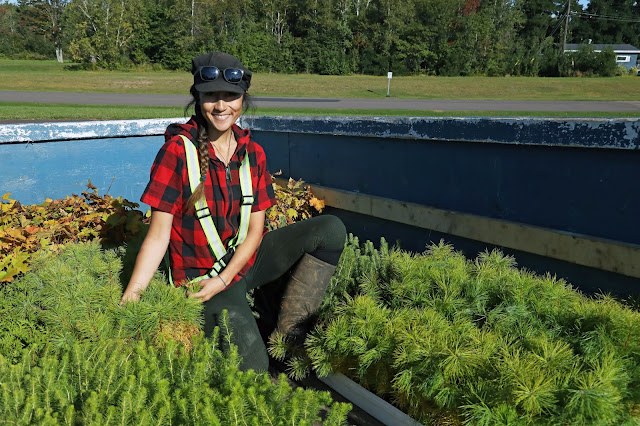 replant.ca_environmental_parlee_beach_2021_photo09